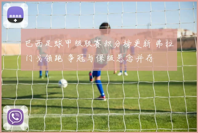 巴西足球甲级联赛积分榜更新 弗拉门戈领跑 争冠与保级悬念并存