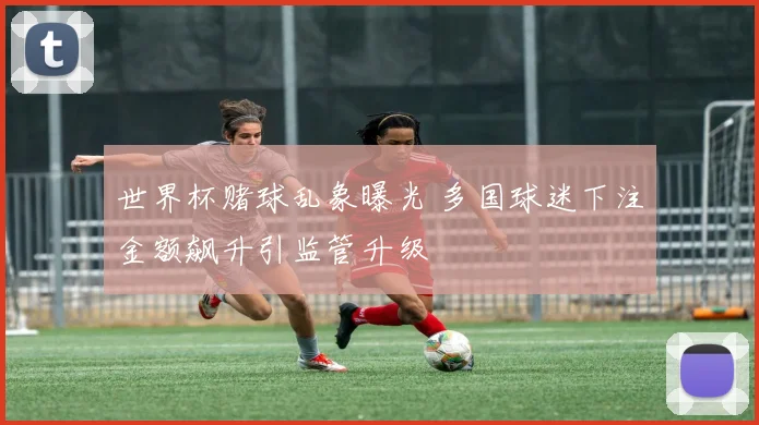 世界杯赌球乱象曝光 多国球迷下注金额飙升引监管升级