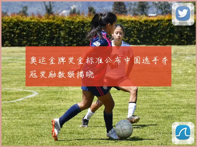 奥运金牌奖金标准公布中国选手夺冠奖励数额揭晓