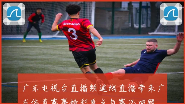 广东电视台直播频道线直播带来广东体育赛事精彩看点与赛况回顾