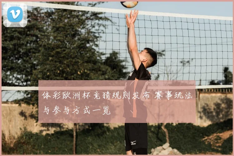 体彩欧洲杯竞猜规则发布 赛事玩法与参与方式一览