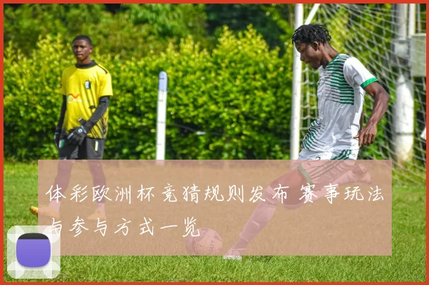 体彩欧洲杯竞猜规则发布 赛事玩法与参与方式一览