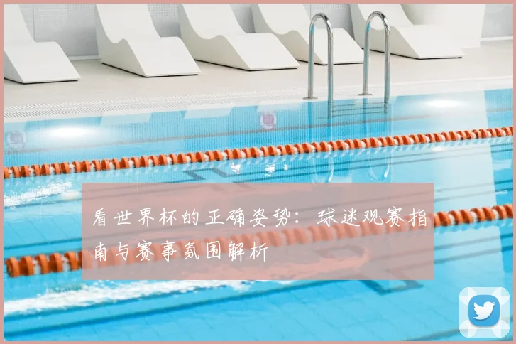 看世界杯的正确姿势:球迷观赛指南与赛事氛围解析