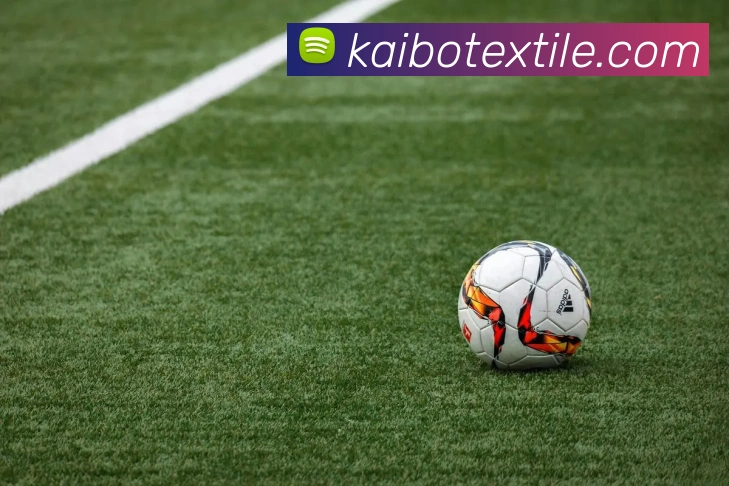 奇异果官网首页入口品牌故事